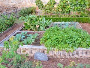 le-jardin-potager le-jardin-potager