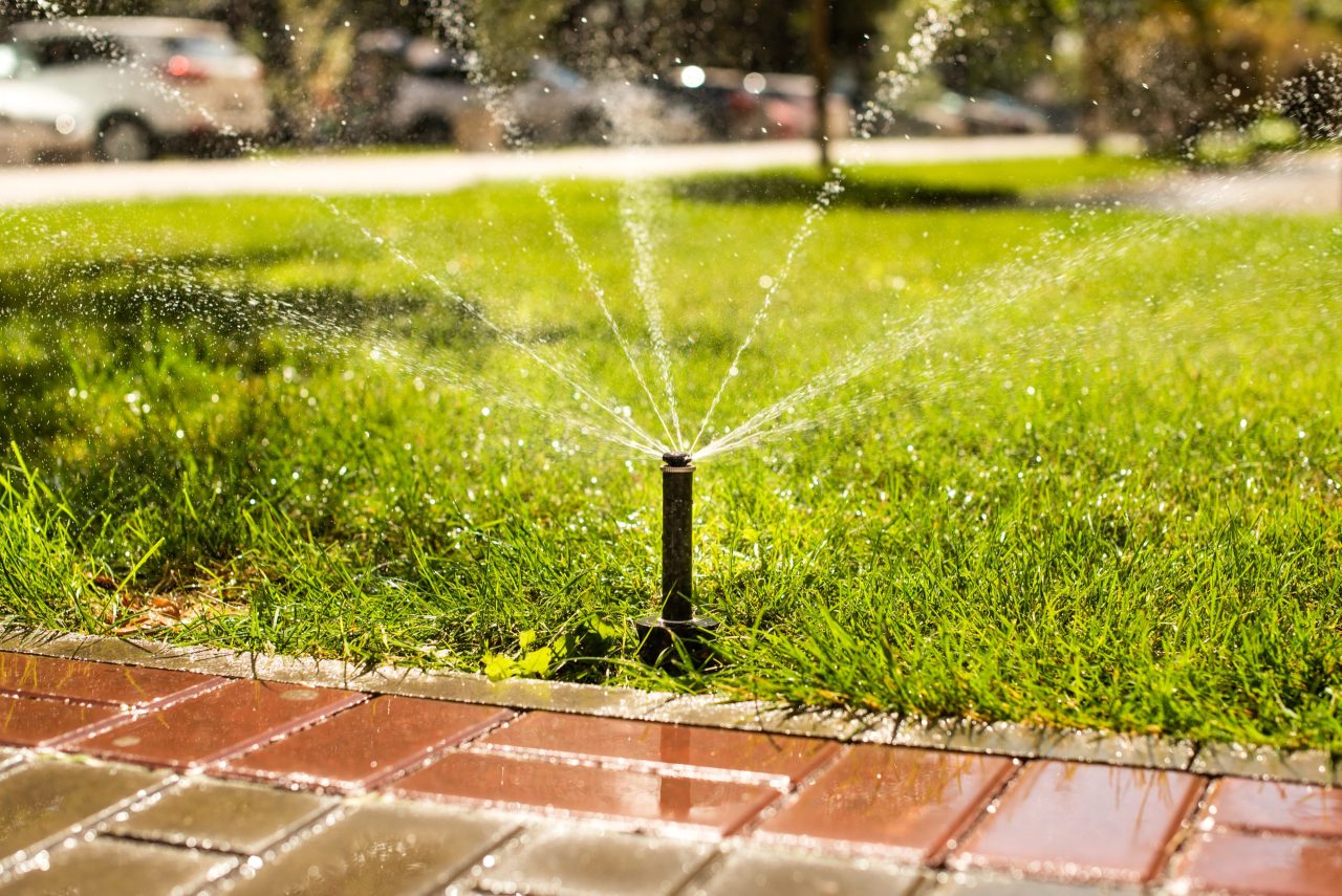 Automatic sprinklers for watering grass. the lawn is watered in summer. convenient for home